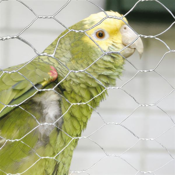 Pletivo šesťhranné ZN 20 × 0.7 × 100 cm, balenie 50 m