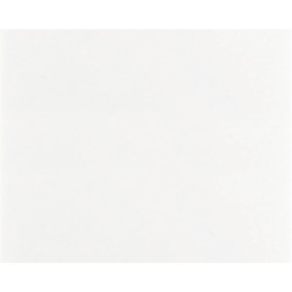 Obklad 20 × 25 Biely matný, CeramikaColor, balenie 1,5 m²