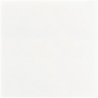 Obklad 20 × 20 cm keramika Soukup KAI biely lesklý,  bal. 1 m²