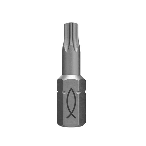 Fischer FPB T 20 profi bit W 10