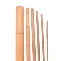 Bambusová tyč 120 cm / 8-10 mm