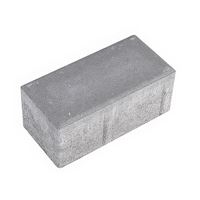 Zámková dlažba Prefa Parketa 20 x 10 x 6 cm sivá